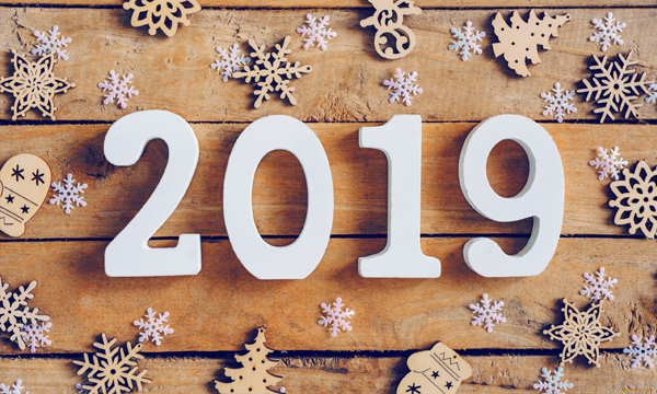 Поздравляем с Наступающим 2019 годом!